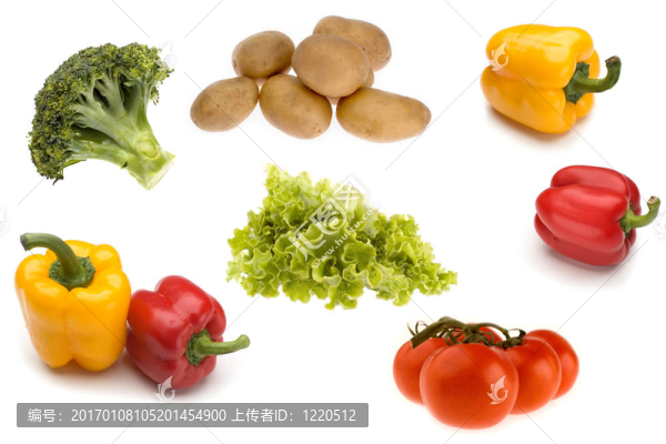 素食