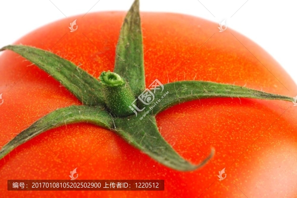 番茄