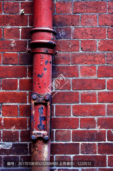 管和Wall