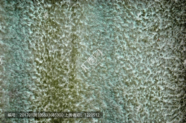 地毯的研究-匯圖網(wǎng) www.fosd68.com 地毯的研究