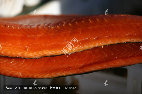 魚的魚片