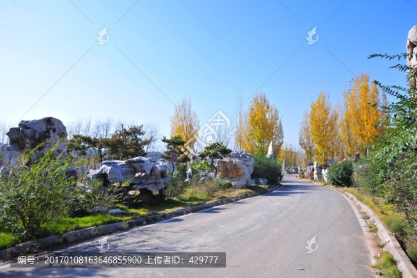公園風(fēng)景,園林景觀(guān),綠化