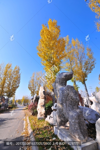 園林,旅游景點(diǎn),秋日風(fēng)景