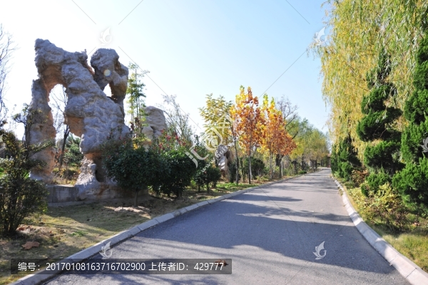 景區(qū)綠化,,地質(zhì)公園