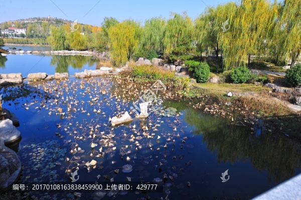 池塘,,水景,,,景區(qū)