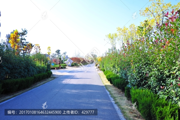 園林綠化,,,景區(qū)綠化
