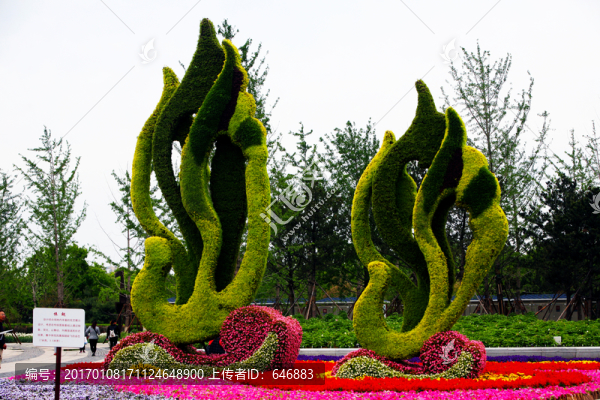 植物雕塑