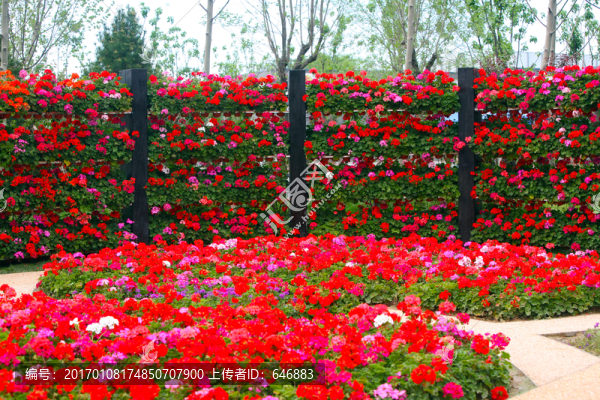 小花