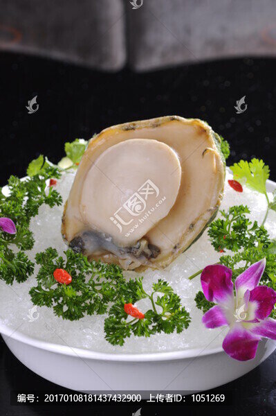 澳洲青邊鮑