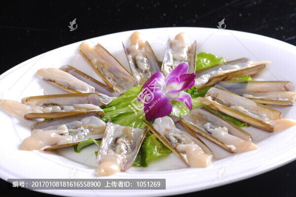 圣子王
