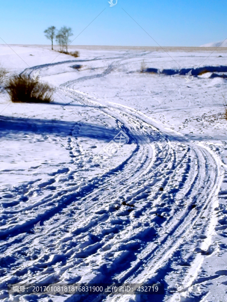 雪原車(chē)轍道路