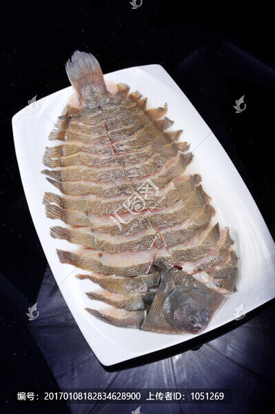 新西蘭鰈魚