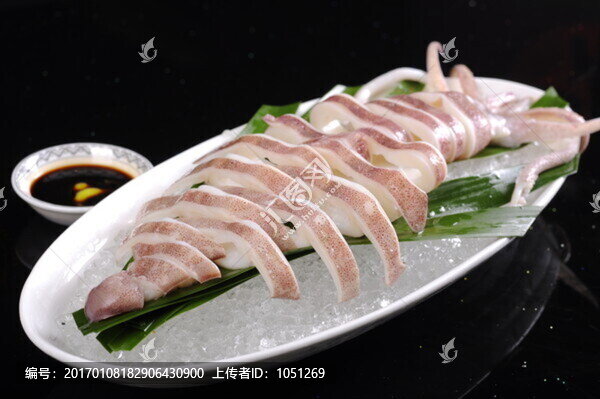 澳洲深海槍魷魚