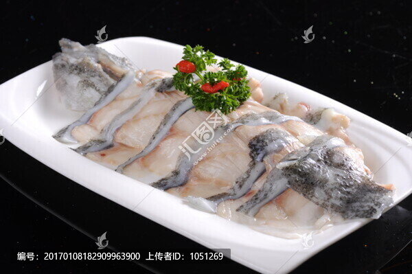 冰島海參斑