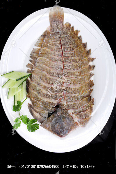 新西蘭鰈魚