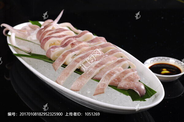澳洲深海槍魷魚