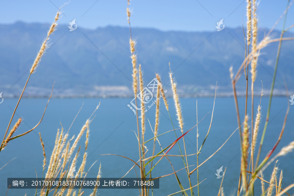 洱海