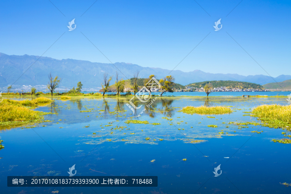 洱海