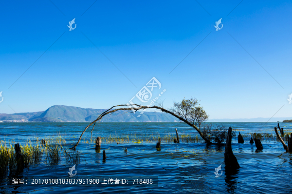 大理,洱海