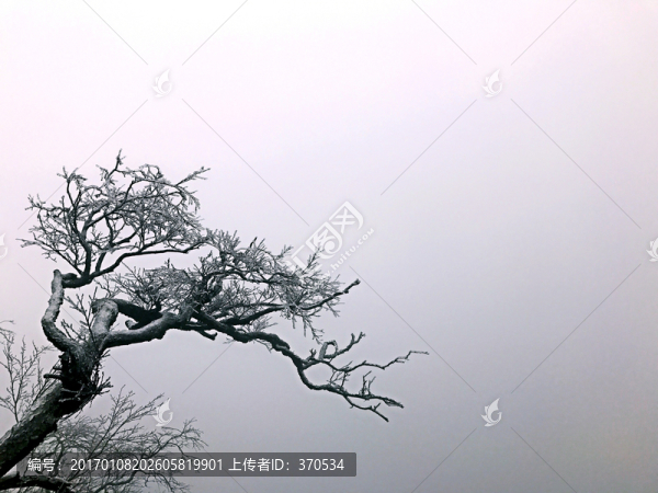 張家界,天門山,著名景點(diǎn),旅游