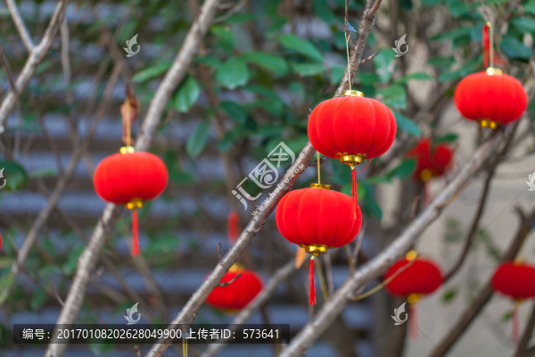 樹木春節(jié)布置