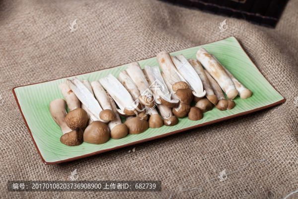 長壽菌