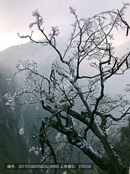 張家界,天門山,著名景點(diǎn),旅游