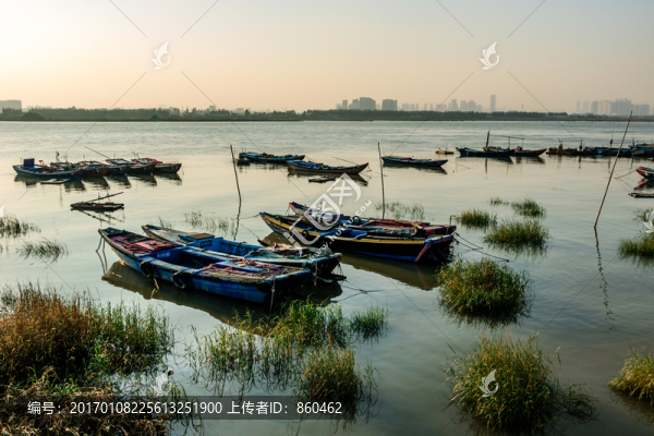 木船,漁港漁船,漁村,港口,海