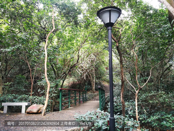 筆架山森林公園
