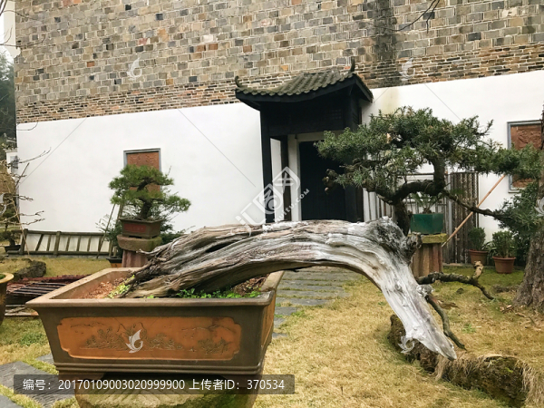 墨莊