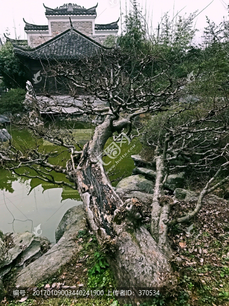 墨莊
