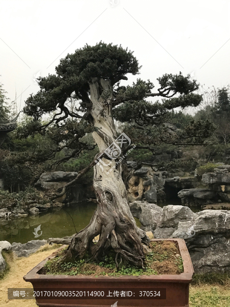 墨莊