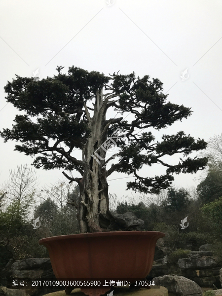 墨莊