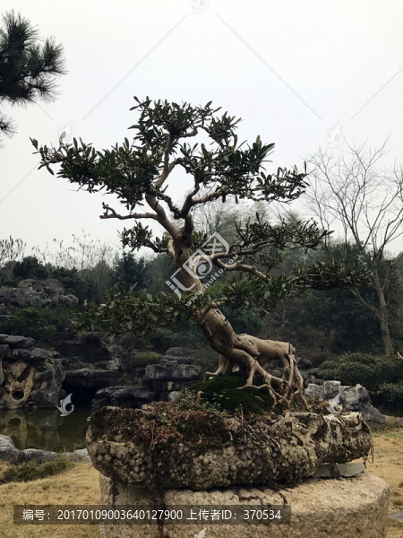 墨莊