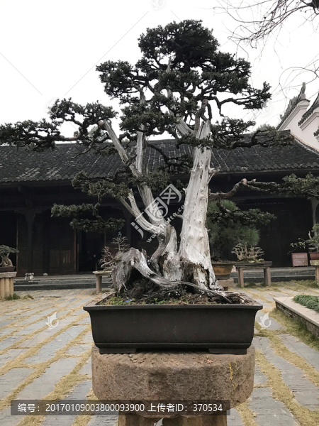 墨莊
