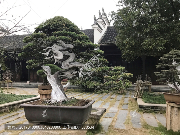 墨莊