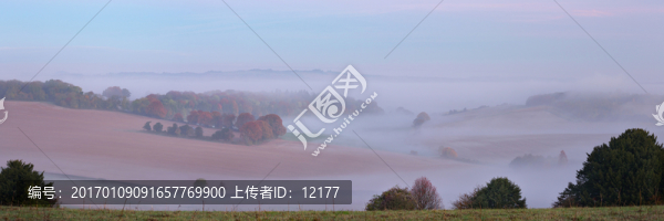 山-匯圖網(wǎng) www.fosd68.com 山