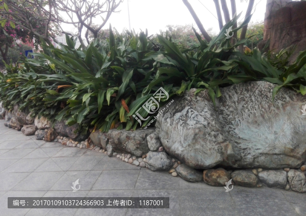 巖石和綠植2
