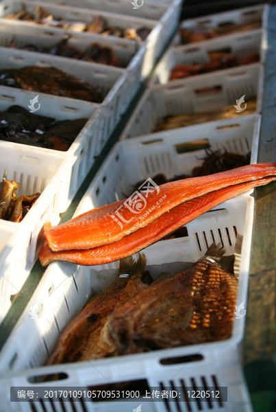 魚的魚片-匯圖網(wǎng) www.fosd68.com 魚的魚片