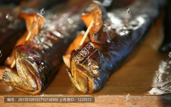 鱒魚(yú)