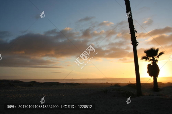 棕櫚日落