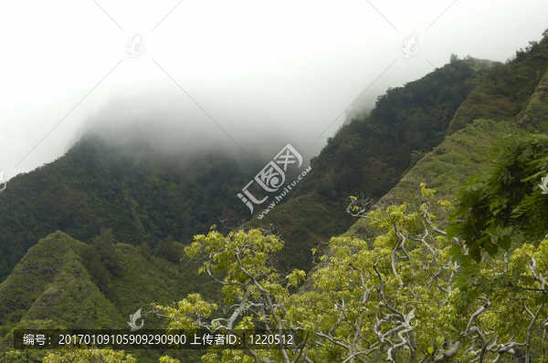 山霧-匯圖網(wǎng) www.fosd68.com 山霧