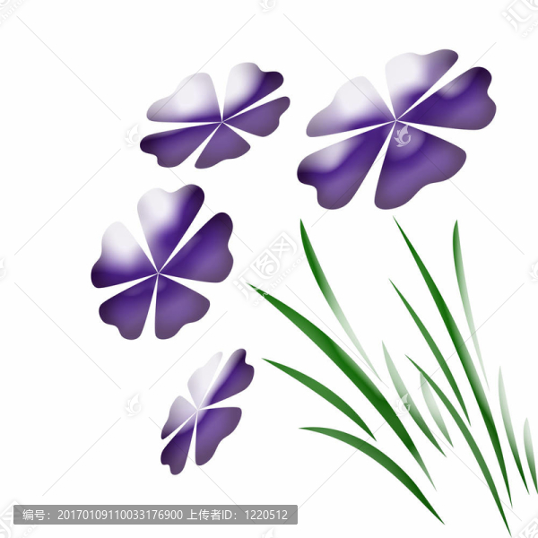 摘要花