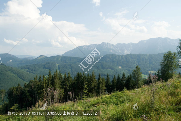 奧地利-匯圖網(wǎng) www.fosd68.com 奧地利