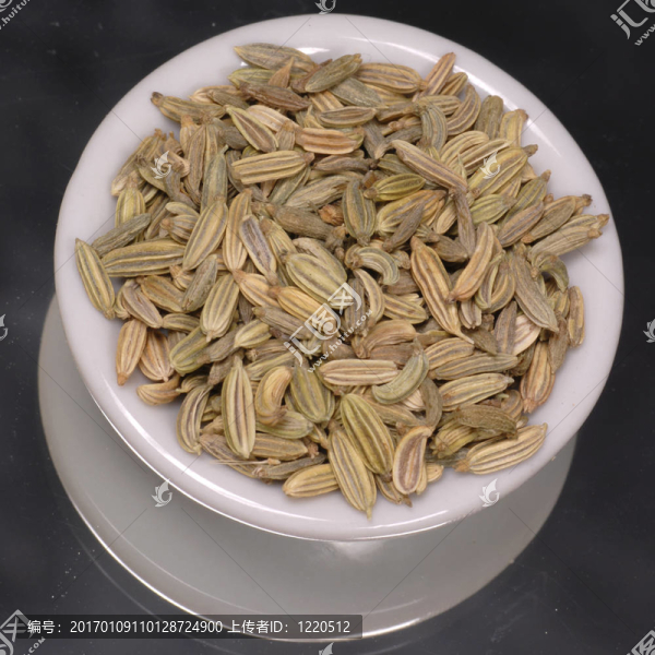 茴香種子