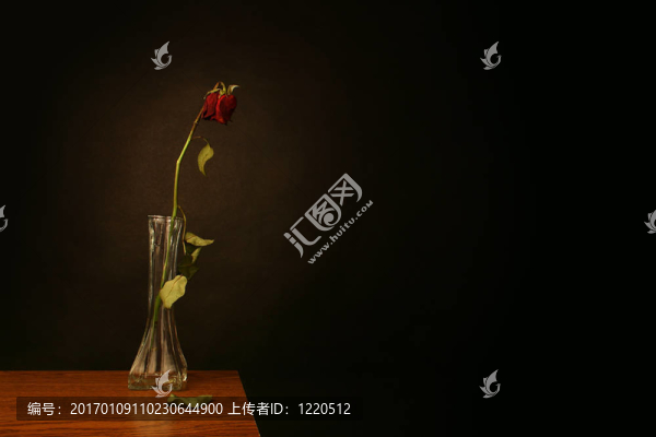 失去的愛