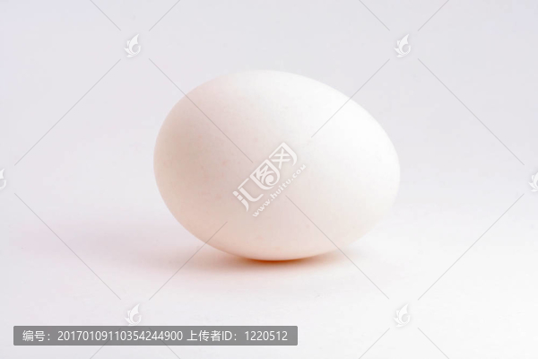 白蛋
