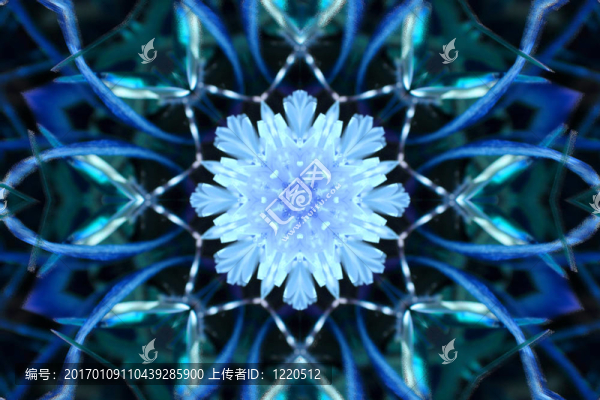 冬天的萬花筒圖片