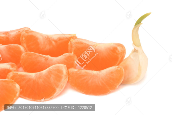 普通話團(tuán)隊(duì)領(lǐng)導(dǎo)