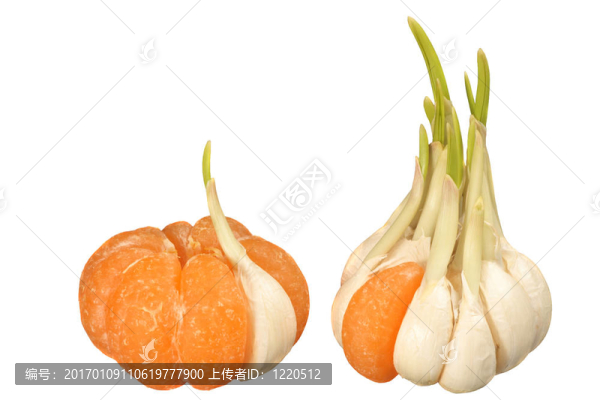 相似性和差異性-匯圖網(wǎng) www.fosd68.com 相似性和差異性